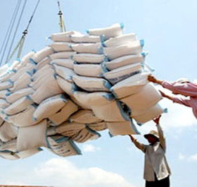 Xuất khẩu gạo của Campuchia sụt giảm