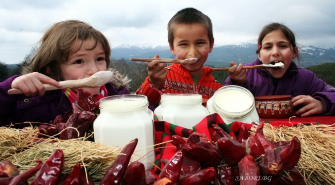 Sữa chua trở thành thức ăn chính của người Bulgaria. 